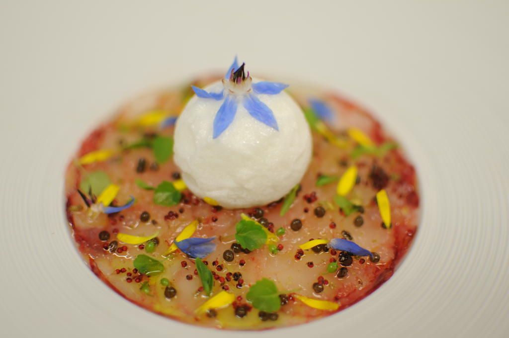 Hotel-Restaurant L'Aquarelle Breuillet  Eksteriør bilde
